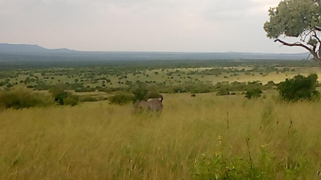 Bed and Breakfast Semadep Safari Camp Sekenani Zewnętrze zdjęcie